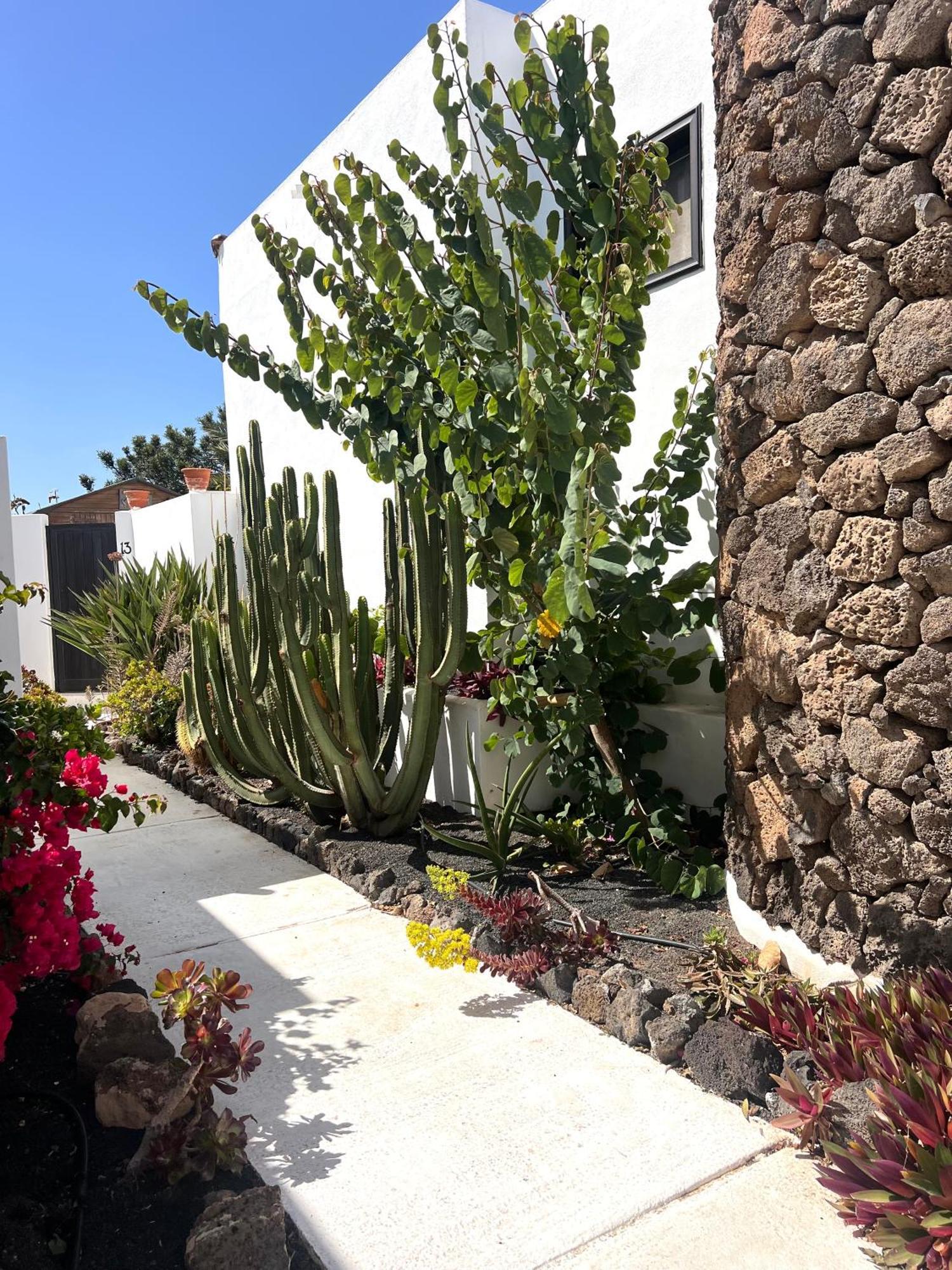 Oasis En Lanzarote Villa Costa Teguise Dış mekan fotoğraf