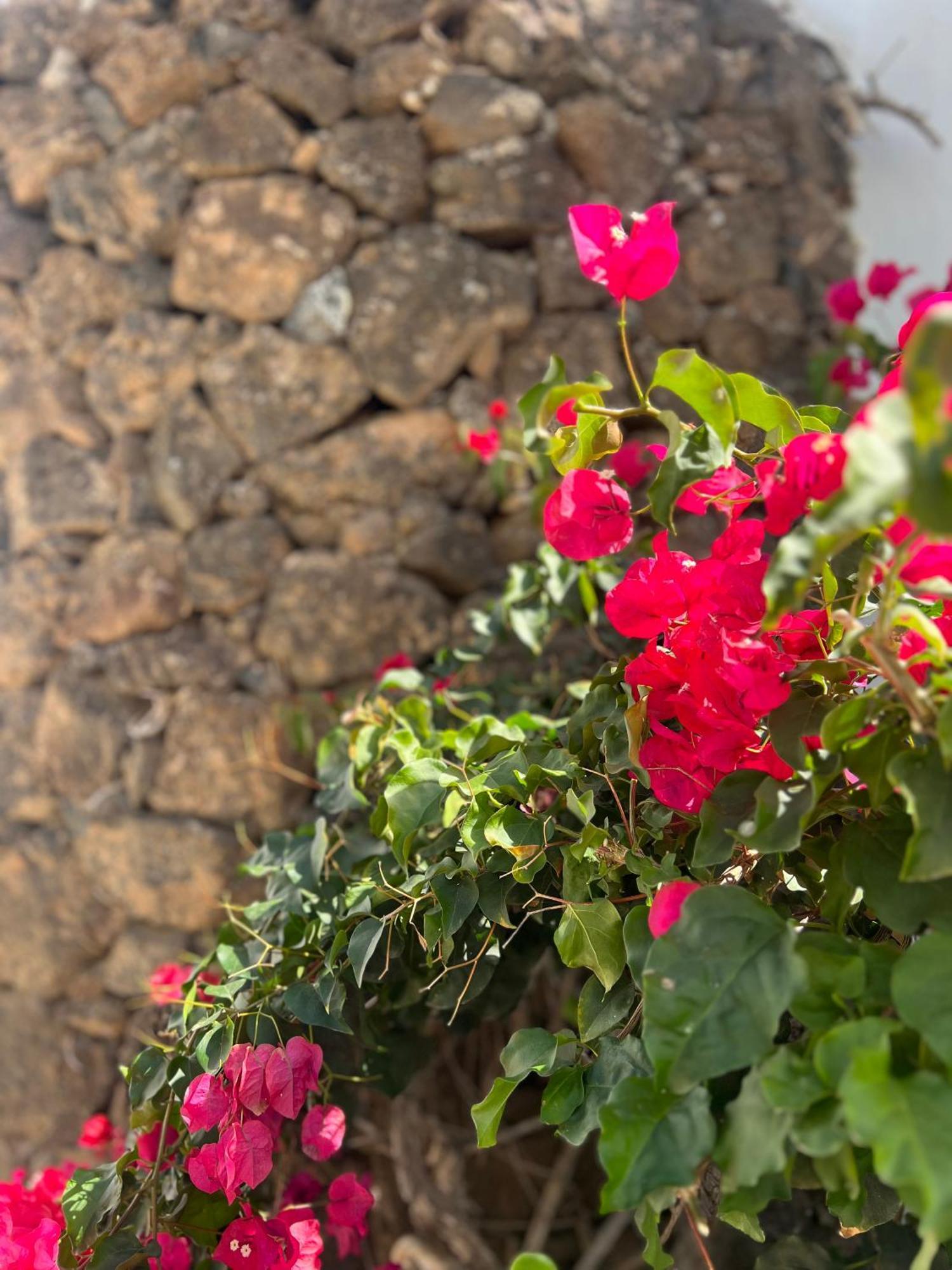 Oasis En Lanzarote Villa Costa Teguise Dış mekan fotoğraf
